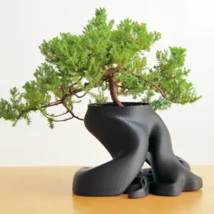 Vase intérieur pour Bonsaï